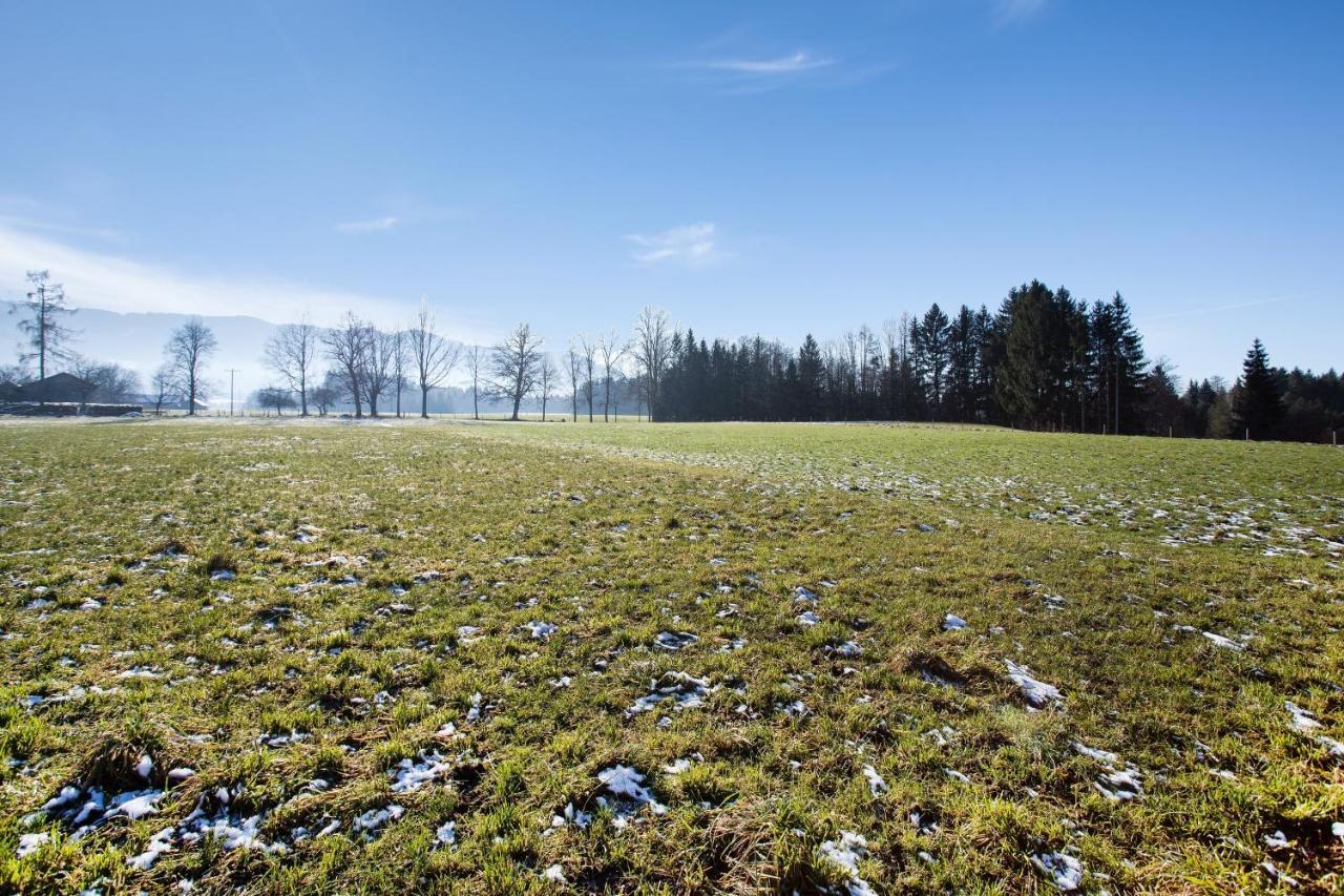 Seeblick Bad Heilbrunn
